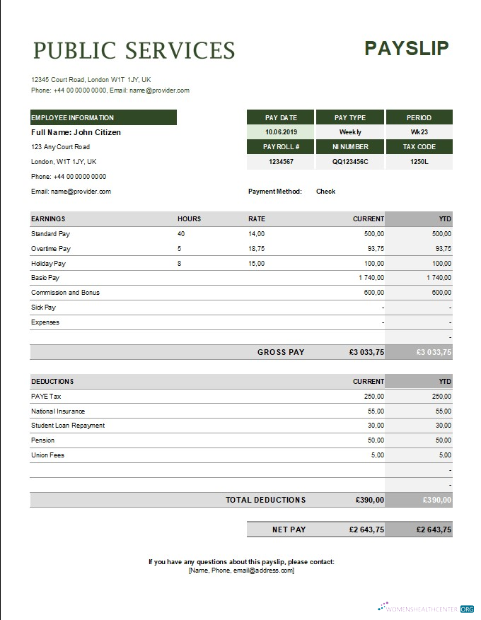 Download public services corporation payslip template in Excel and PDF formats Photoshop template